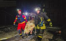 480839607_1062008025967086_2313331161821011888_n copy.jpg