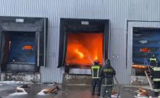 Screenshot 2025-03-02 081922.png