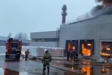 Screenshot 2025-03-02 081847.png