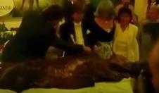 Screenshot 2025-03-02 123209.png