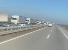 kovilj.jpg