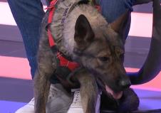 Screenshot 2025-03-04 175544.png