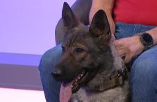 Screenshot 2025-03-04 175807.png