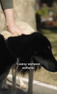 Screenshot 2025-03-04 224709.png