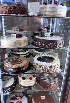 Luna Đogani i Marko Miljković