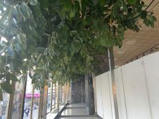 IMG_8918.jpeg