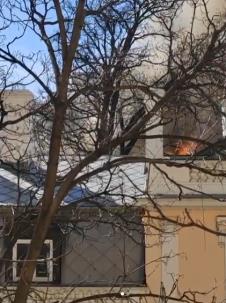 Screenshot 2025-03-08 122911.png