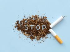 Shutterstock.com_chayanuphol.jpg
