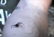 Screenshot 2025-03-10 143720.jpg