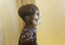 2025-03-12 08_20_13-(1) Hairiest Face - Guinness World Records - YouTube — Mozilla Firefox.png