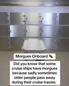 Screenshot 2025-03-17 153738.png