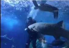 Screenshot 2025-03-18 092735.png