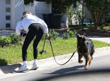 zizel bundsen profimedia-0976930732.jpg