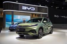 BYD (8).jpg