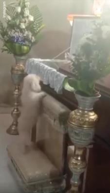 Screenshot 2025-03-19 203306.png