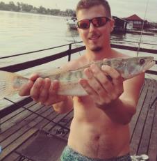 Minan Dinčić Dinča