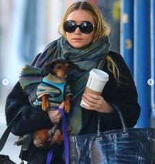 Screenshot 2025-03-20 112136.png