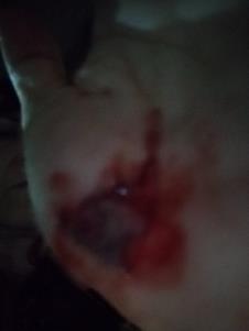 WhatsApp Image 2025-03-21 at 9.01.16 PM.jpeg