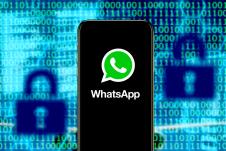 WhatsApp (1).jpg