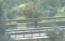 Screenshot 2025-03-24 114453.png