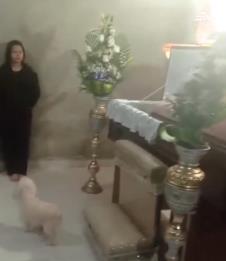 Screenshot 2025-03-24 163918.png