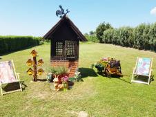 Jelena Bačić Alimpić Fruška Gora (4).png