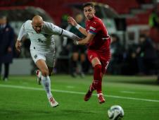 SERBIA-AUSTRIA_71.JPG