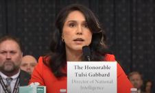 Tulsi Gabard.jpg