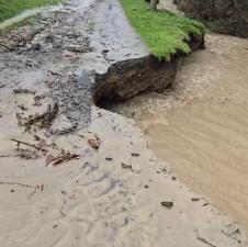 Screenshot 2025-03-29 141658.png