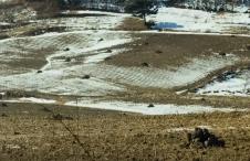 Screenshot 2025-03-31 121457.png