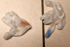 Džozef Ros trovao koleginicu super lepkom 4.png