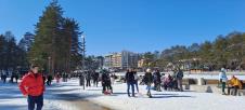 17435215841676543282planina-zlatibor-.jpg