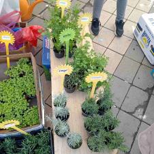 IMG-20250405-WA0113.jpg