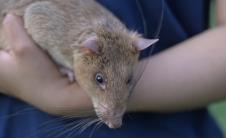 Screenshot 2025-04-06 092851.png