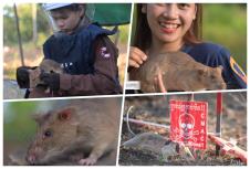 collage1213213.jpg