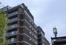 IMG_20250403_185309.jpg