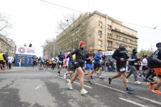 Beogradski maraton.jpg