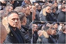mš.jpg