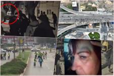collage.jpg