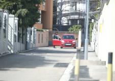 nemanja nikolic1.jpg