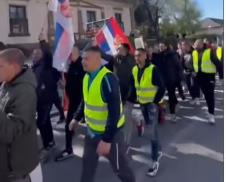 novosađani.jpg
