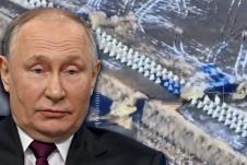 putin.jpg