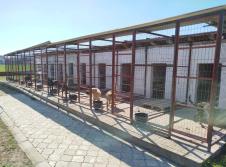 FOTO Uprava za izvršenje krivičnih sankcija, psi u VP Domu.jpg