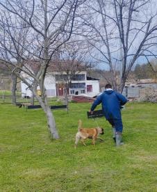 FOTO Uprava za izvršenje krivičnih sankcija, pokazna vežba 3.jpg