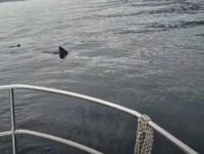 Screenshot 2025-04-14 091011.png