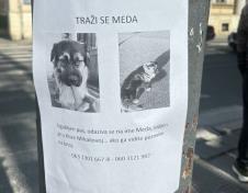 meda.jpg