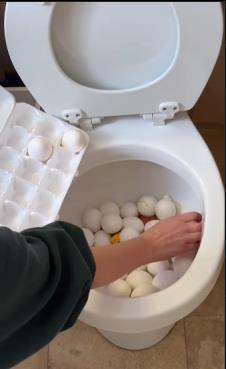 wc šolja 2.png