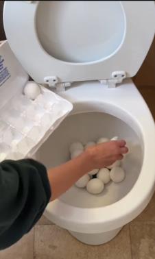 wc šolja 1.png