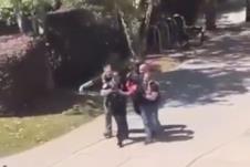 pucnjava Florida.jpg