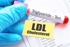 ldl.jpg
